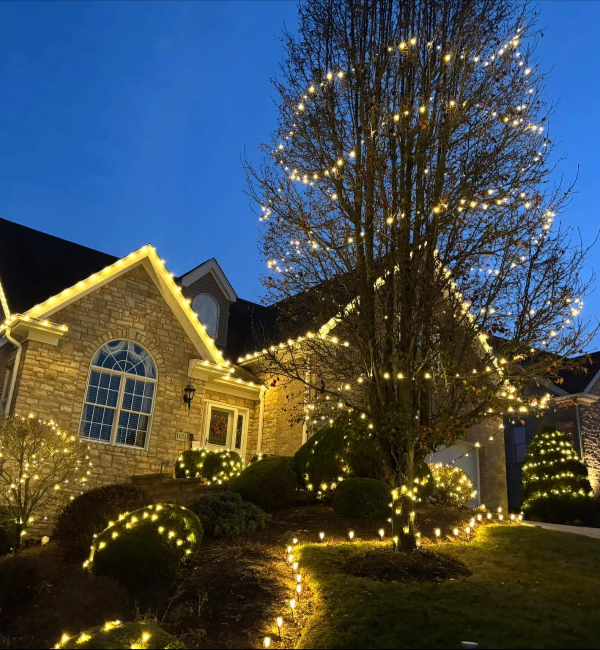 custom landscape lighting solutions for Venetia homes