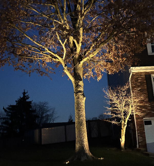 Landscape lighting services Bridgeville