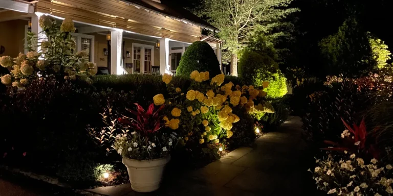 Lighting up your garden at night with landscape lighting.