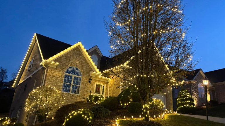 lighting tips to highlight your trees