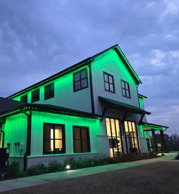 Permanent Outdoor Roofline Lighting