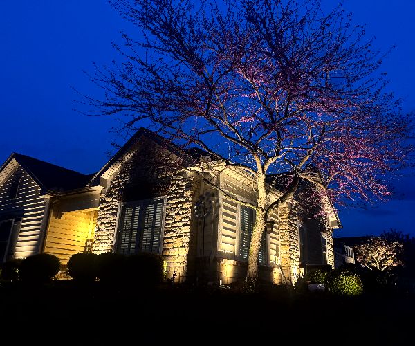 landscape-lighting-maintenance (1)