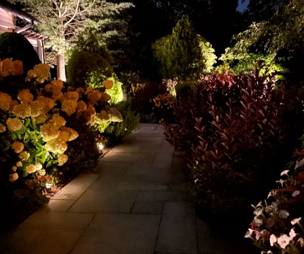landscape-lighting-maintenance (2)