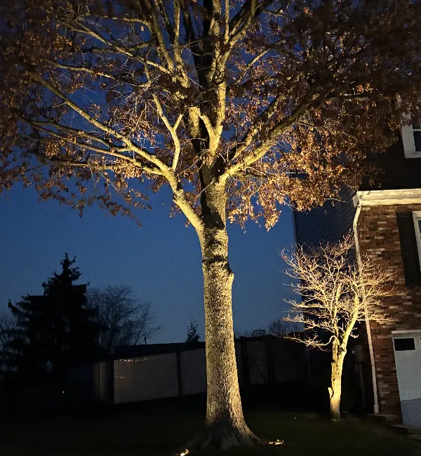front yard landscape lighting services