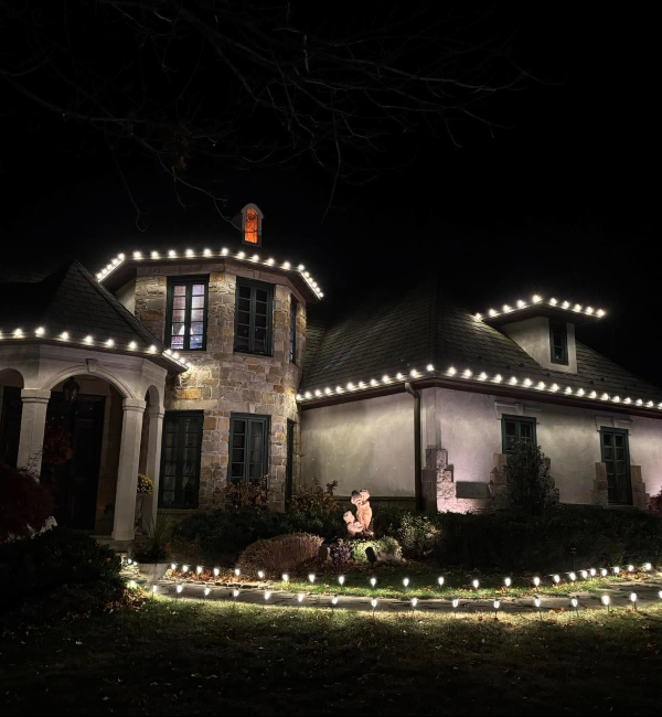 professional-landscape-lighting-troubleshooting
