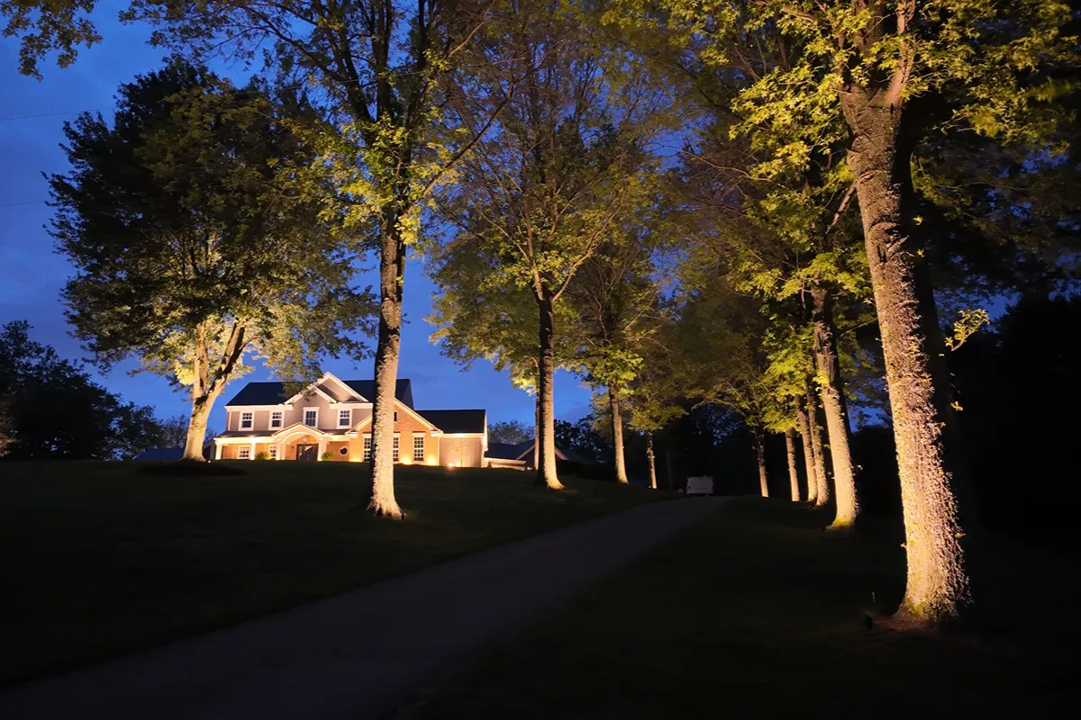 Landscape Lighting Installation Contractor